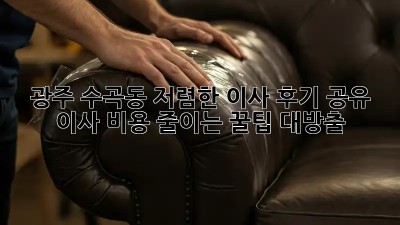 광주 수곡동 저렴한 이사 후기 공유! 💸 이사 비용 줄이는 꿀팁 대방출! ✨
