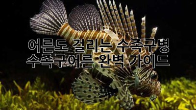 어른도 걸리는 수족구병? 수족구어른 완벽 가이드