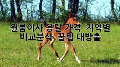 원룸이사 용달 가격 🚚 지역별 비교분석 & 꿀팁 대방출! 🍯