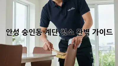 안성 숭인동 계단 청소 완벽 가이드